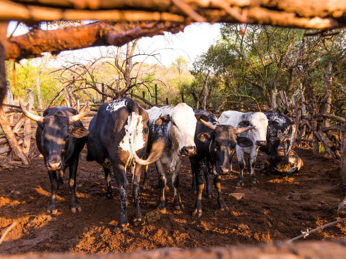 Aha Lesedi African Lodge & Cultural Village Broederstroom Экстерьер фото